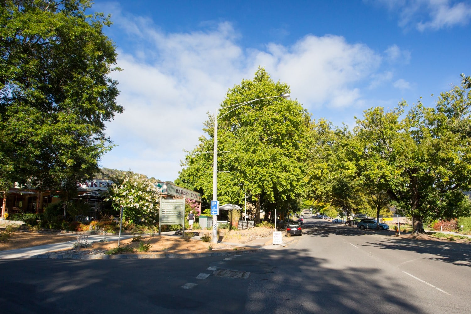 Dungog_Housing_Infrastructure_Master_Plan.jpg